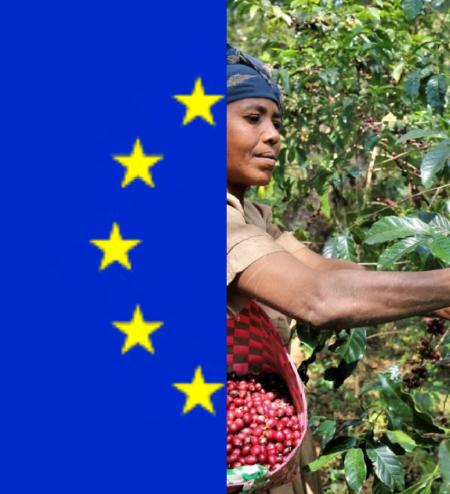 EUDR impact on coffee farming - EU flag and coffee farmer